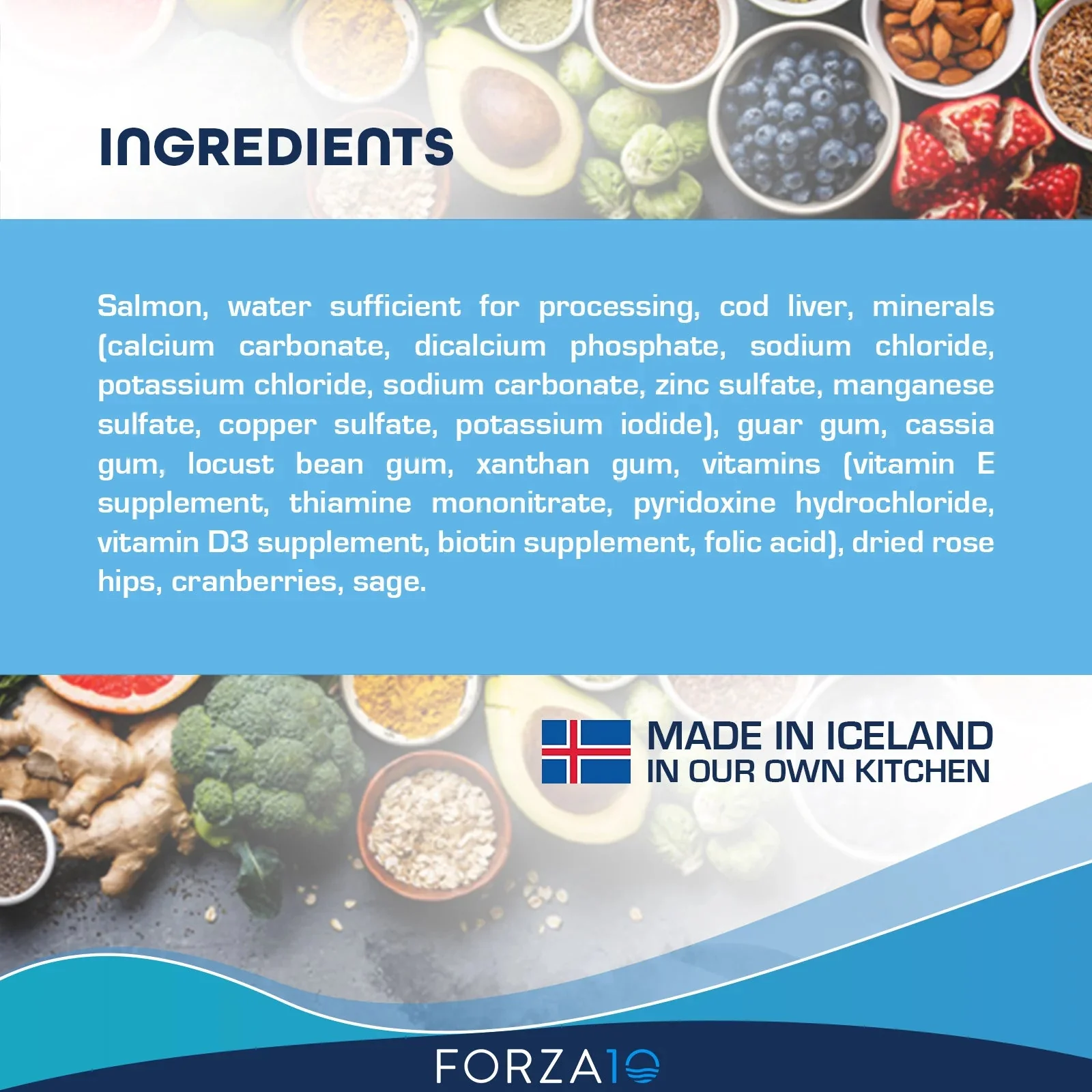 Forza10 Nutraceutic Legend Skin Icelandic Fish Recipe Grain-Free Canned Dog Food - Image 6