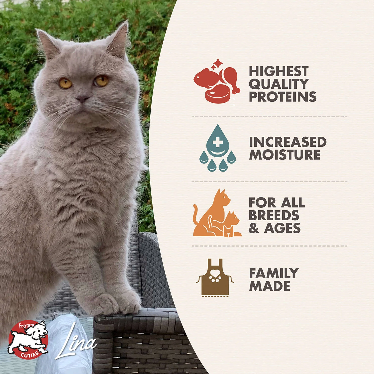 Fromm Four-Star Chicken & Salmon Pâté Cat Food - Image 2