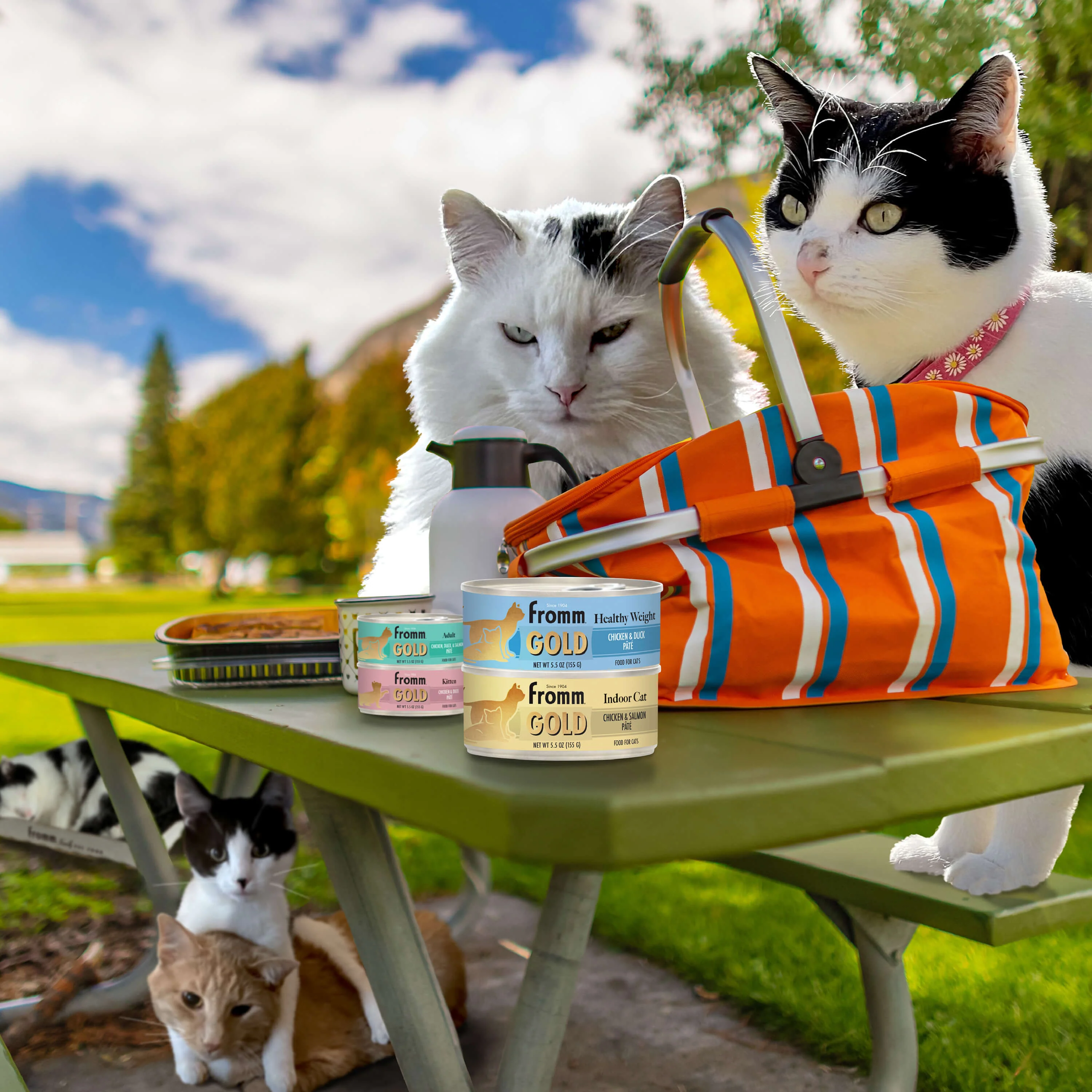 Fromm Gold Indoor Cat Chicken & Salmon Pâté Cat Food - Image 3