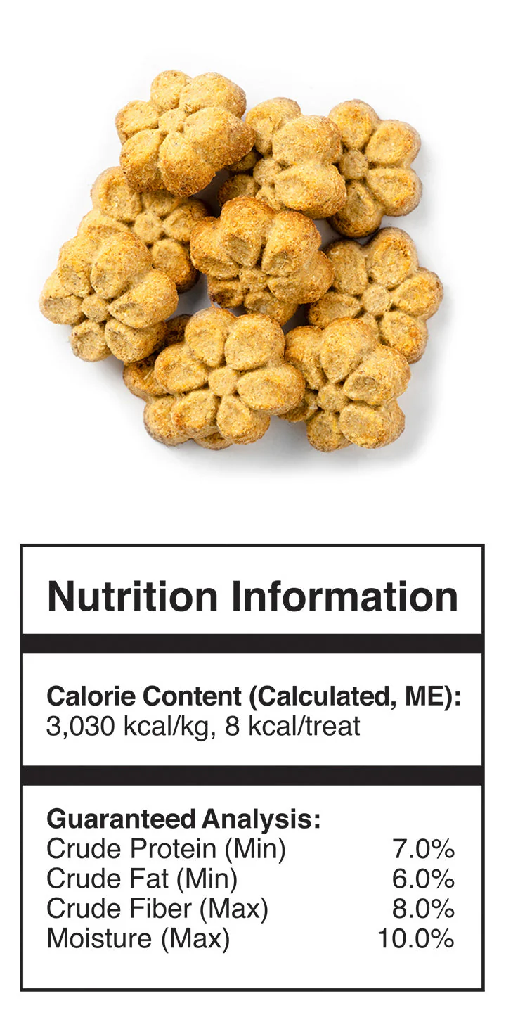 Fruitables Healthy Dog Treats: Crispy Bacon & Apple - Image 2