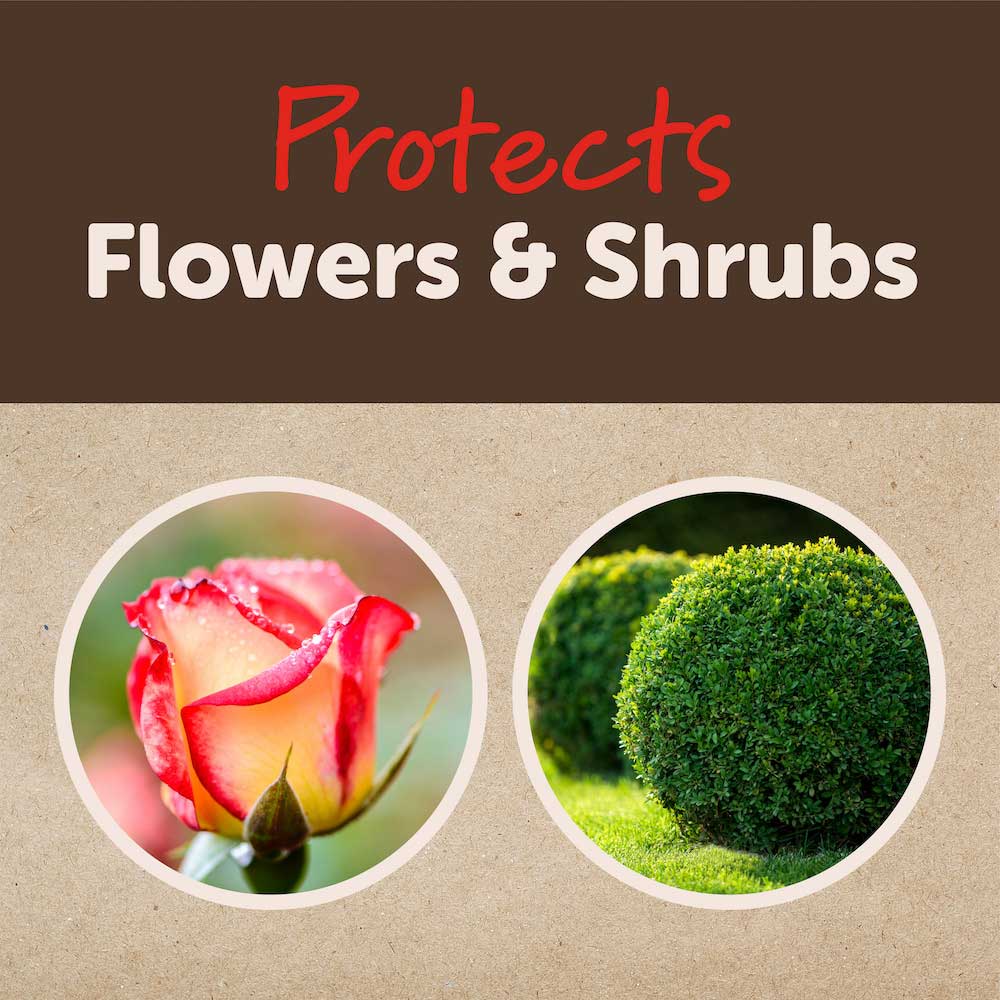 Garden Tech Sevin® 3-in-1 Flower & Shrub RTS - Image 9