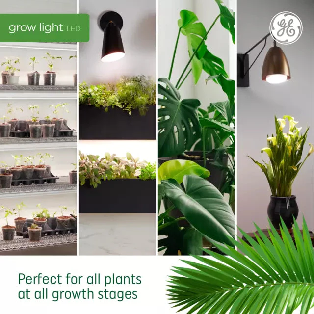 GE Grow LED Light Bulb, A19 Indoor Plant Light for Seeds and Greens 16 PPF - Image 4