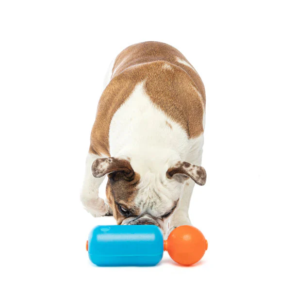 Guru Treat Challenger Dog Toy - Image 2