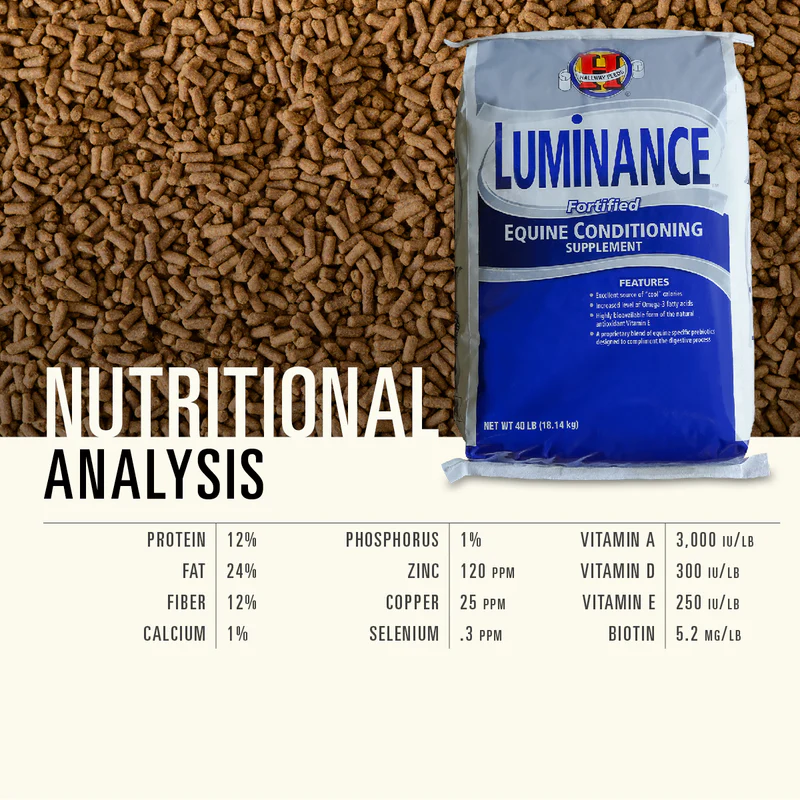 Hallway Luminance® Fat Supplementation for Equine Conditioning - Image 4
