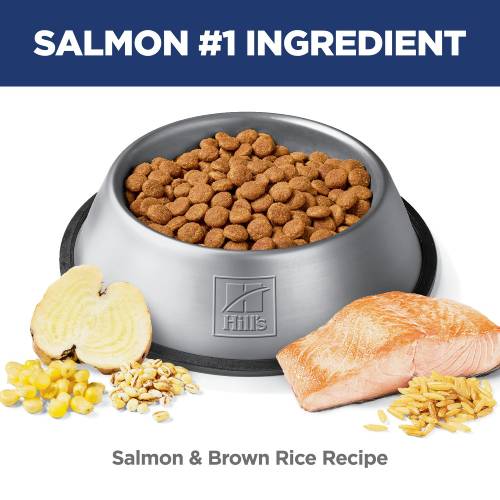 Hill's Science Diet Adult Perfect Digestion Dog Food, Salmon, Whole Oats & Brown Rice Recipe Dry Dog Food - Image 3