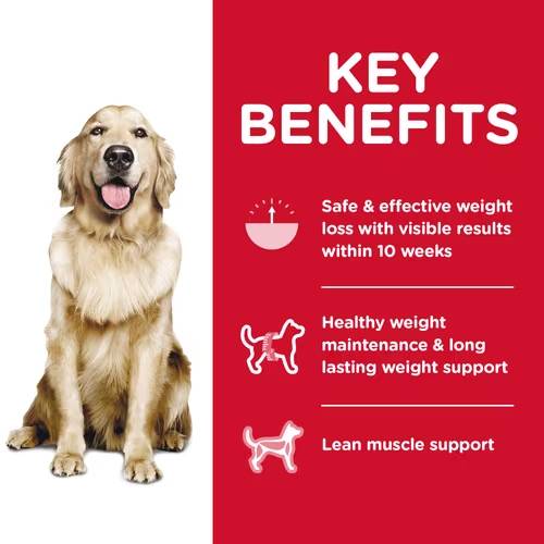 Hill's Science Diet Adult Perfect Weight Chicken Recipe Dog Food - Image 5