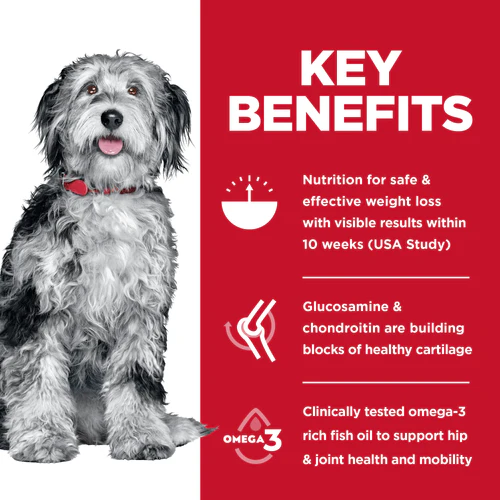 Hill's Science Diet Adult Perfect Weight & Joint Support Chicken Recipe Dry Dog Food - Image 4