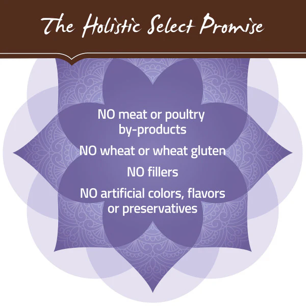 Holistic Select Natural Adult Health Chicken Meal and Brown Rice Recipe Dry Dog Food - Image 5
