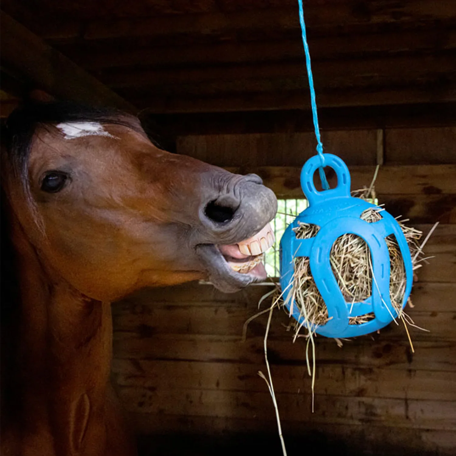 Horsemen's Pride Jolly Hay Ball Stall Toy for Horses - Image 2