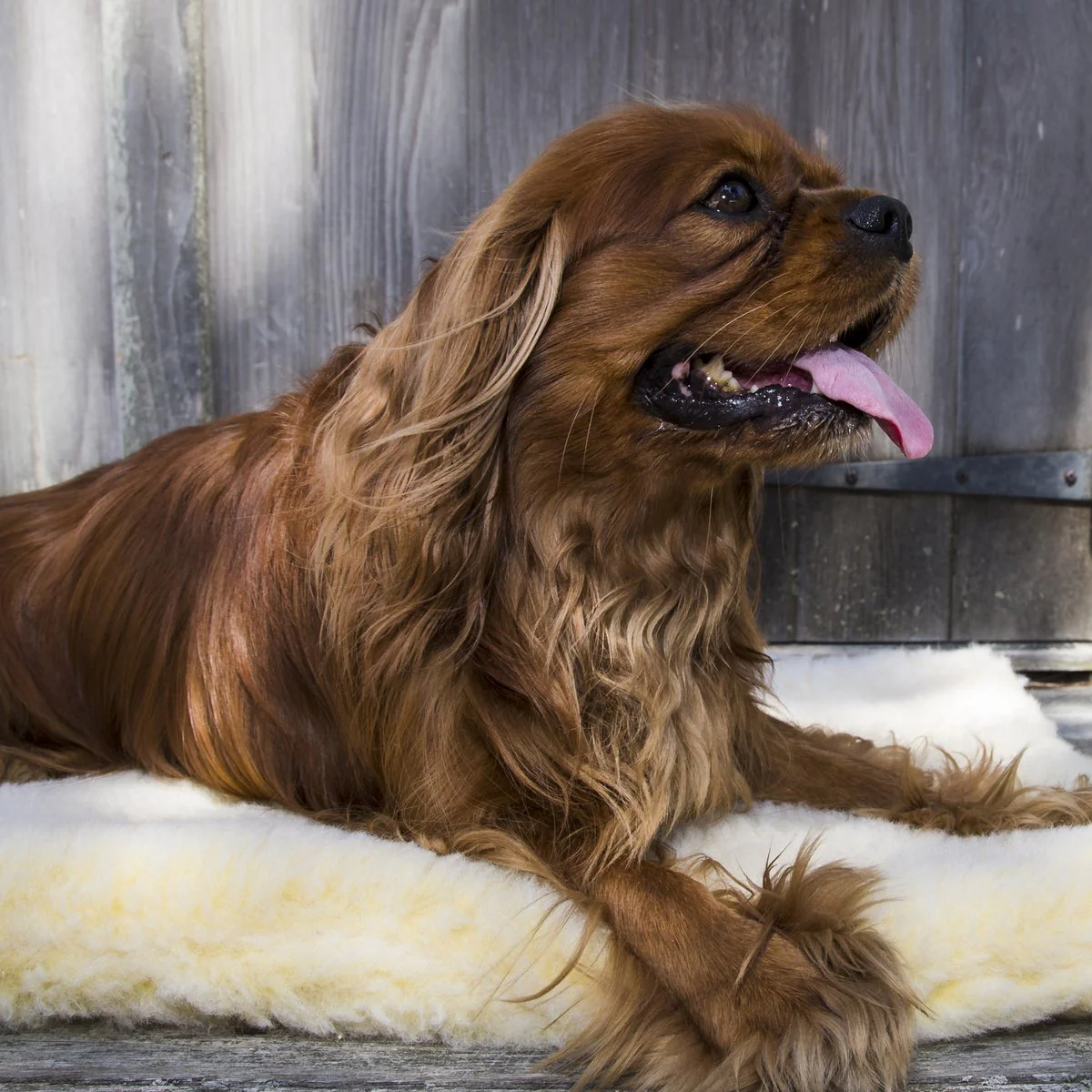 HuggleFleece® Mat - Natural - Image 4