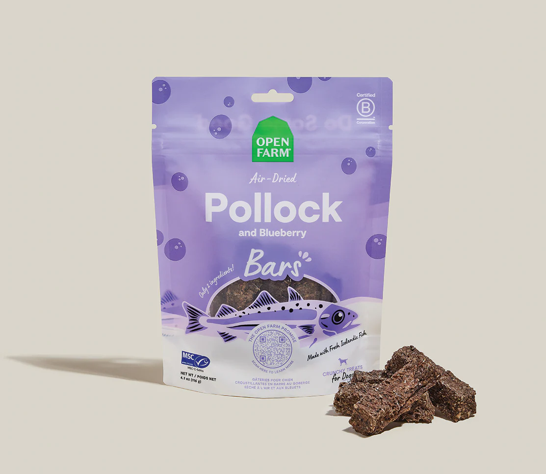 Icelandic Air-Dried Pollock & Blueberry Dog Treat Bars - Image 2
