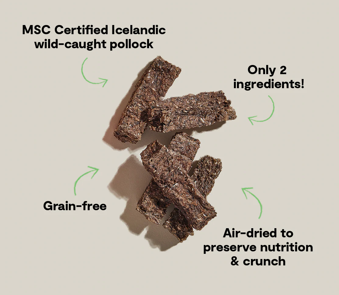 Icelandic Air-Dried Pollock & Blueberry Dog Treat Bars - Image 3