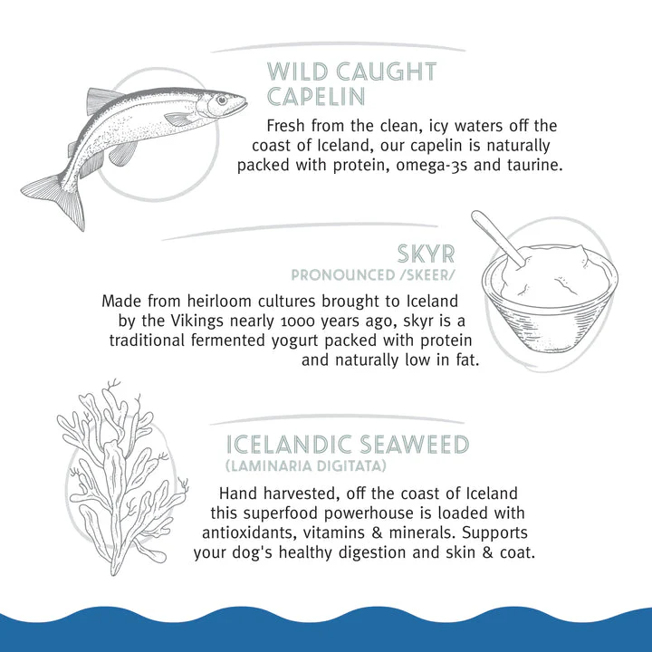Icelandic+™ Chewy Jerky Bars Capelin & Skyr Jerky Recipe Dog Treat - Image 4