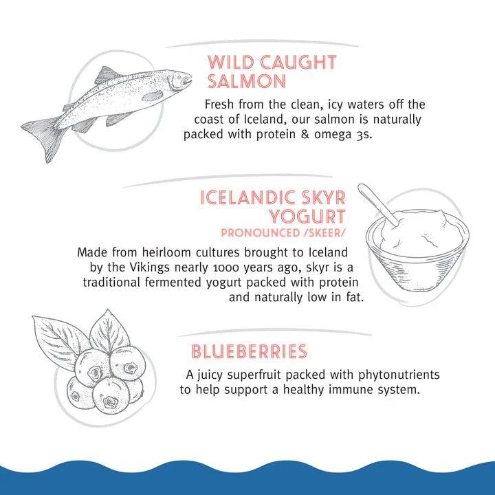 Icelandic+™ Chewy Jerky Bars Salmon, Skyr, & Blueberries Recipe Dog Treats - Image 4