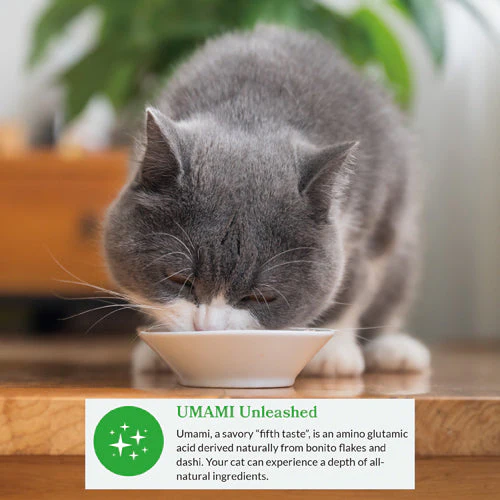 Inaba Dashi Delights Chicken with Salmon Recipe Cat Treats - Image 5
