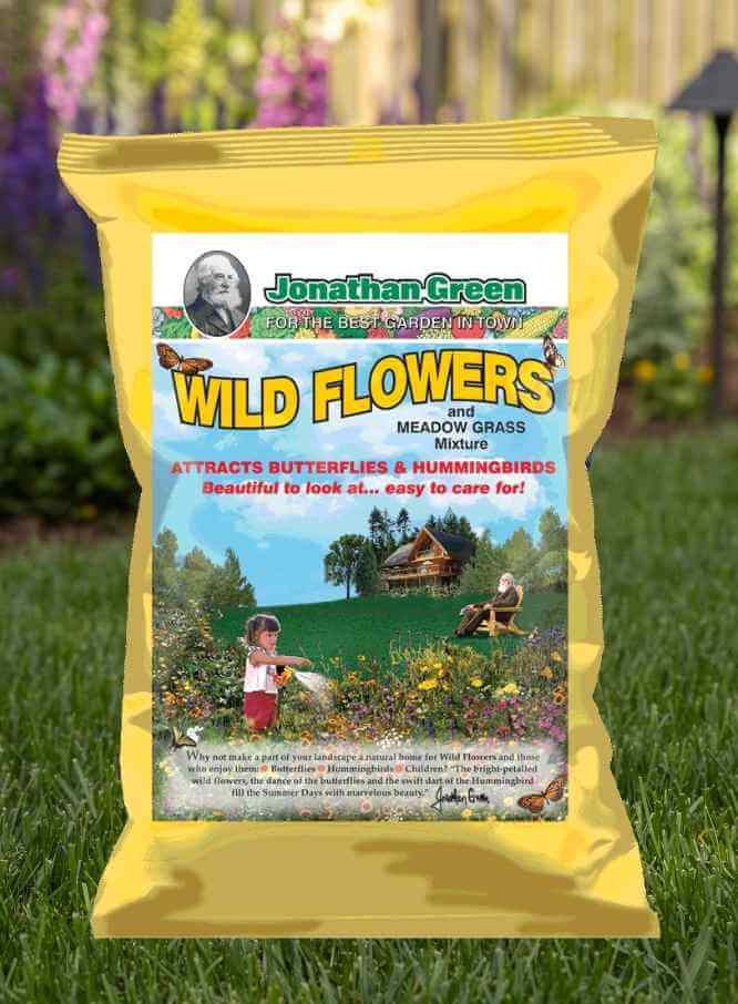Jonathan Green Wildflower and Meadow Grass Mix - Image 2