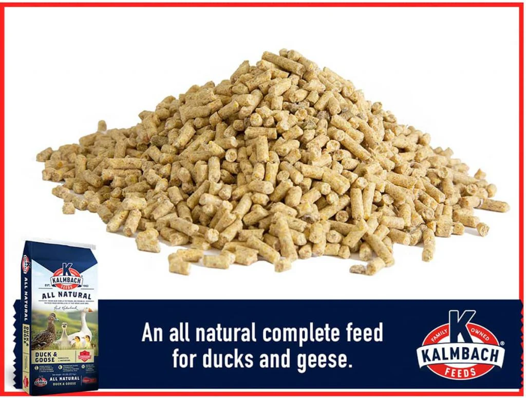 Kalmbach Duck, Goose & Swan Feed - Image 4