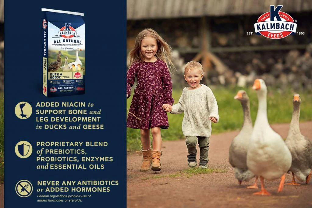 Kalmbach Duck, Goose & Swan Feed - Image 6