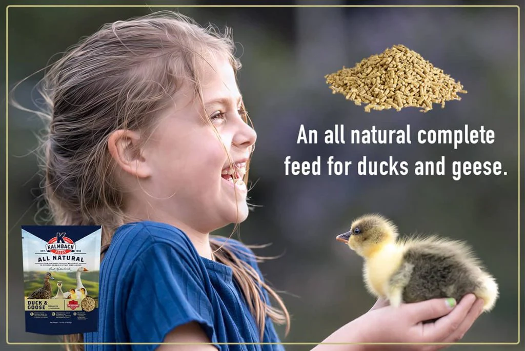 Kalmbach Duck, Goose & Swan Feed - Image 7