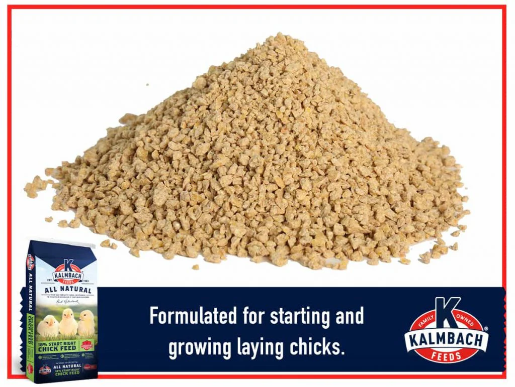 Kalmbach 18% Start Right® Chick Feed (Non-Medicated) - Image 4