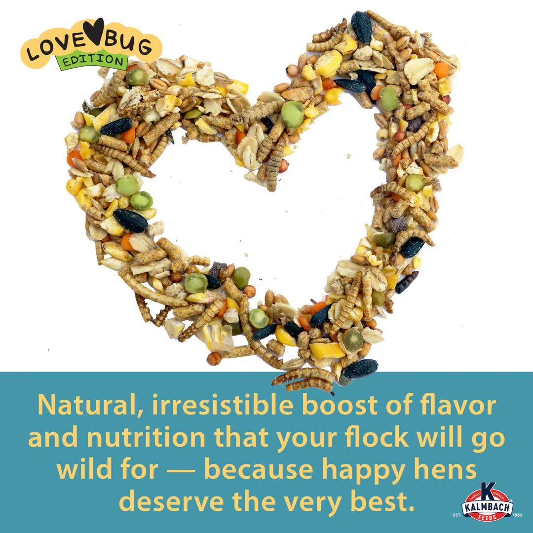 Kalmbach Feeds Henhouse Reserve Love Bug™ for Chickens and Poultry - Image 4