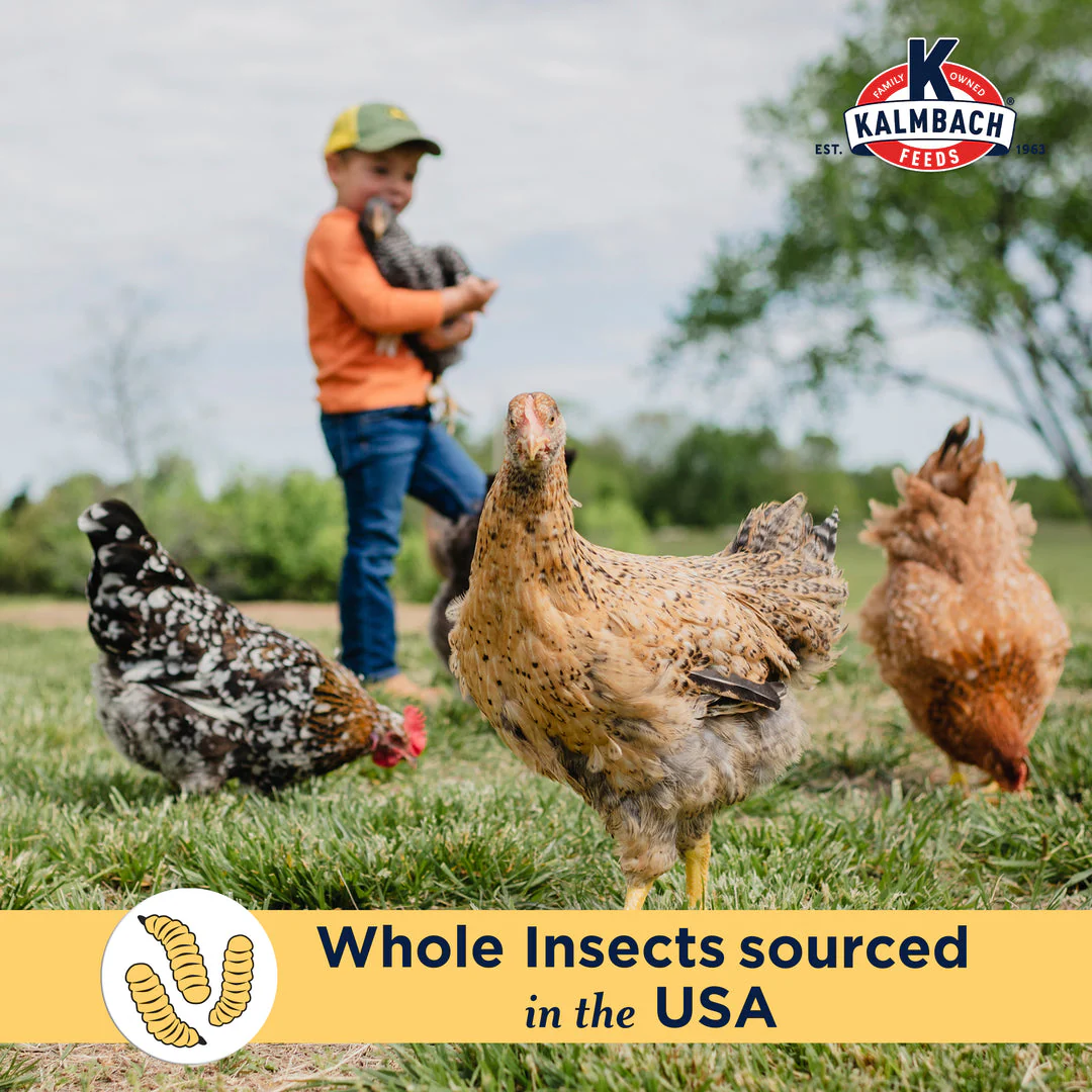 Kalmbach Feeds Henhouse Reserve Love Bug™ for Chickens and Poultry - Image 5