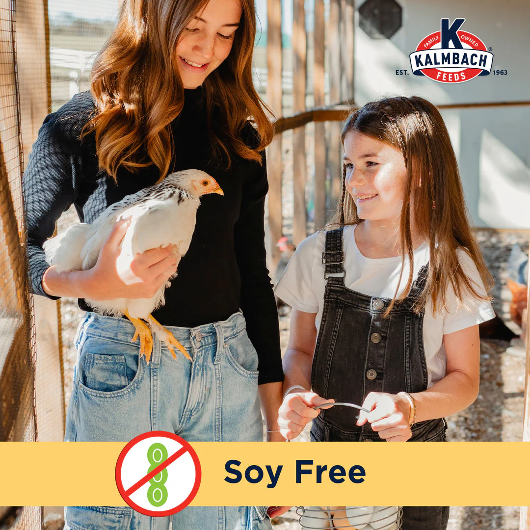 Kalmbach Feeds Henhouse Reserve Love Bug™ for Chickens and Poultry - Image 7