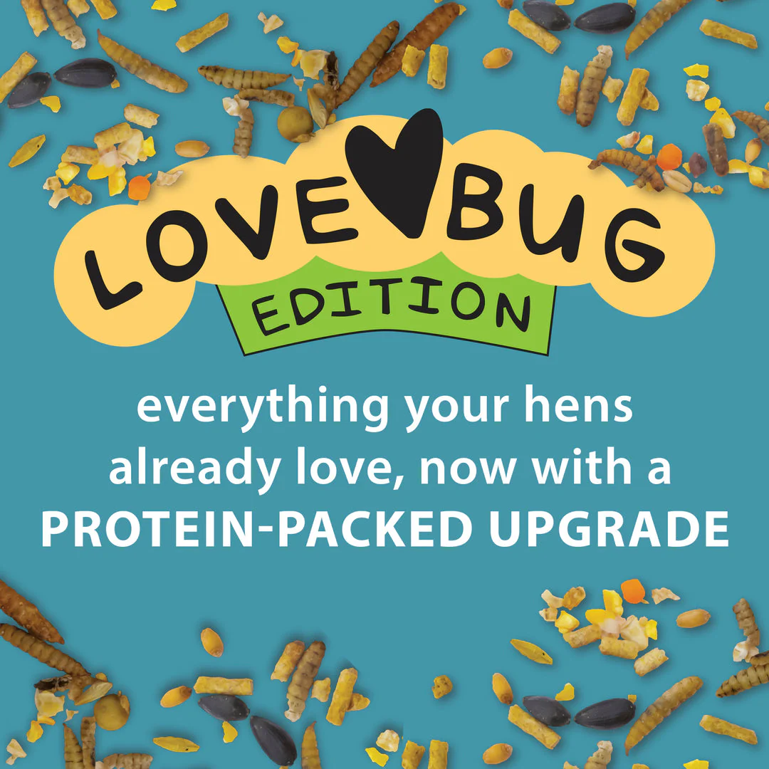 Kalmbach Feeds Henhouse Reserve Love Bug™ for Chickens and Poultry - Image 8
