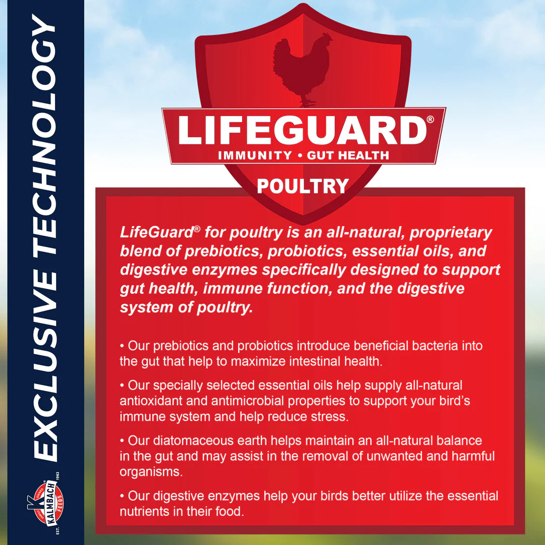 Kalmbach Feeds Henhouse Reserve Love Bug™ for Chickens and Poultry - Image 9