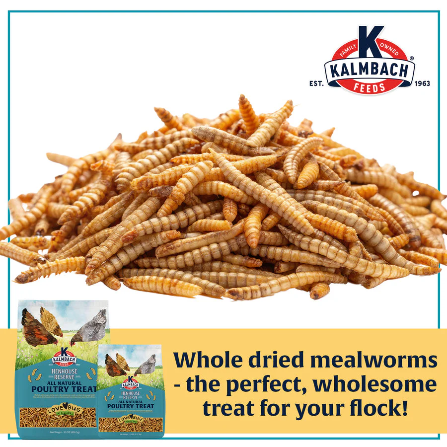 Kalmbach Feeds Henhouse Reserve Love Bug­™ Mealworm Treats - Image 3