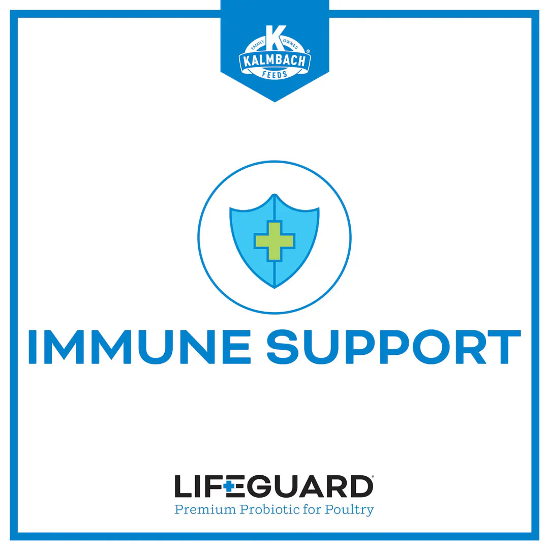 Kalmbach Feeds LifeGuard® Poultry Supplement - Image 4