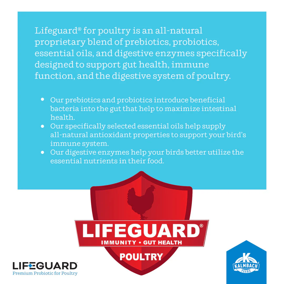 Kalmbach Feeds LifeGuard® Poultry Supplement - Image 5