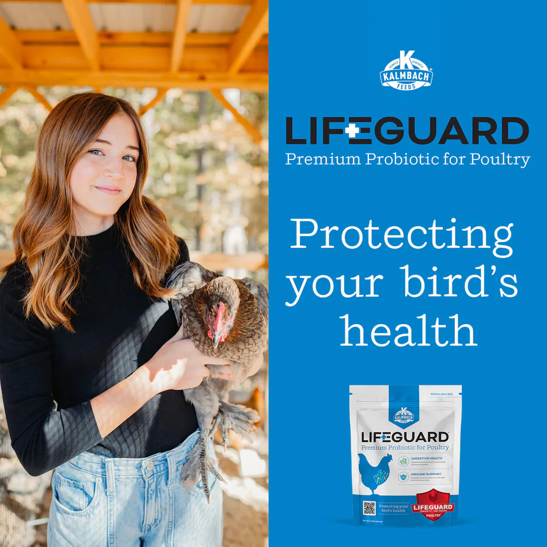 Kalmbach Feeds LifeGuard® Poultry Supplement - Image 6