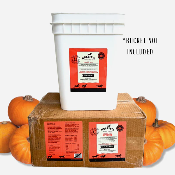 Kelcie's Pumpkin Spice Horse Treats - Image 6