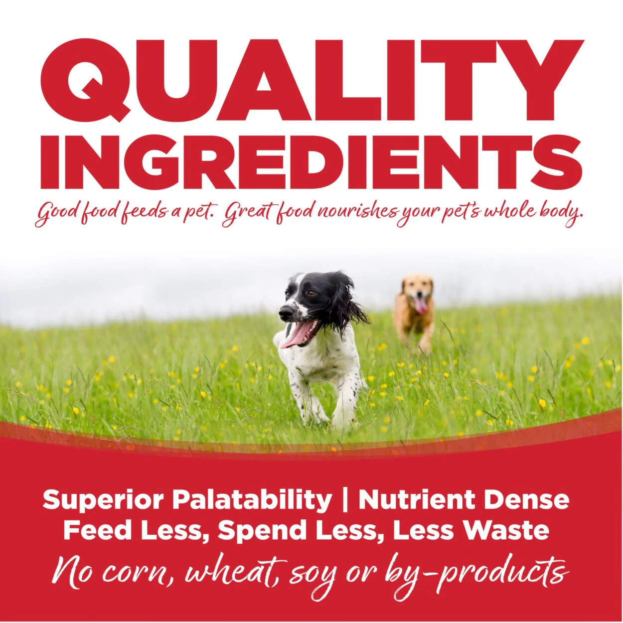 NutriSource® Large Breed Beef & Rice Recipe Dog Food - Image 5
