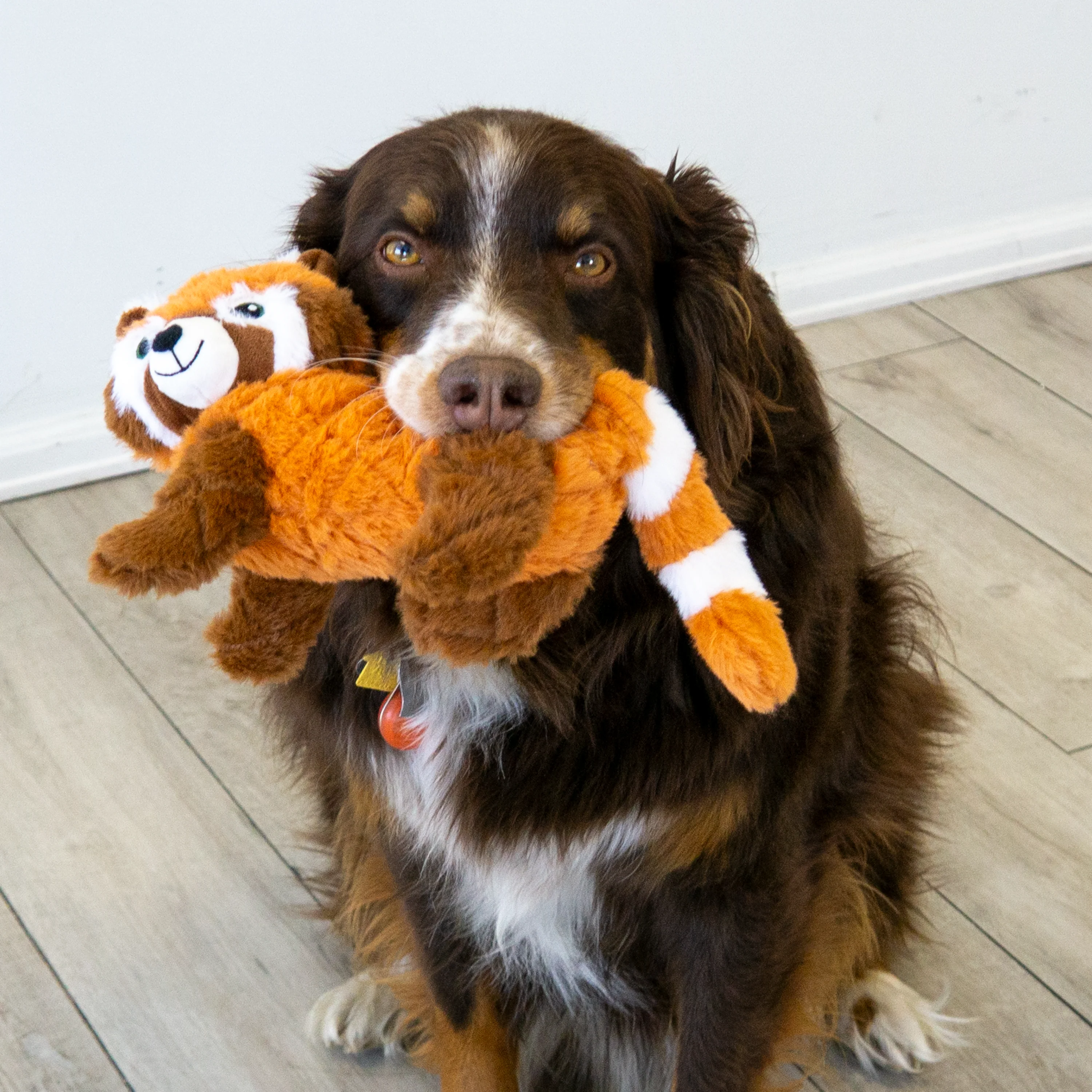 KONG Scampers Red Panda Dog Toy - Image 2