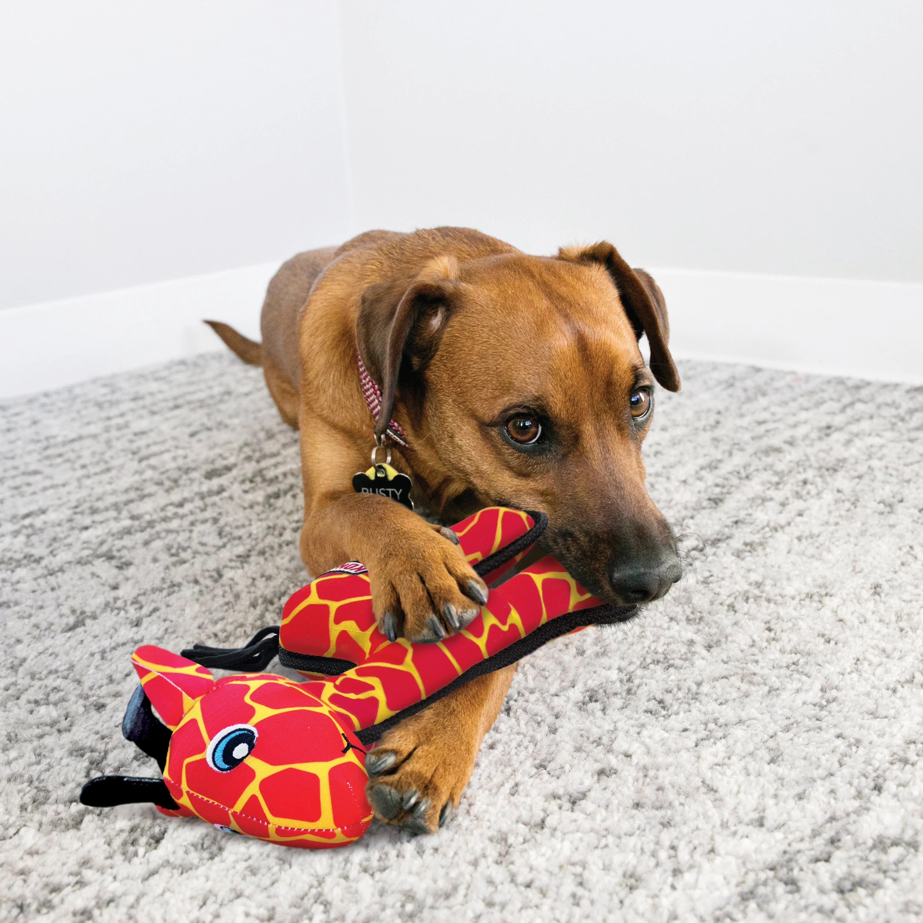 KONG Ballistic Giraffe Dog Toy - Image 2