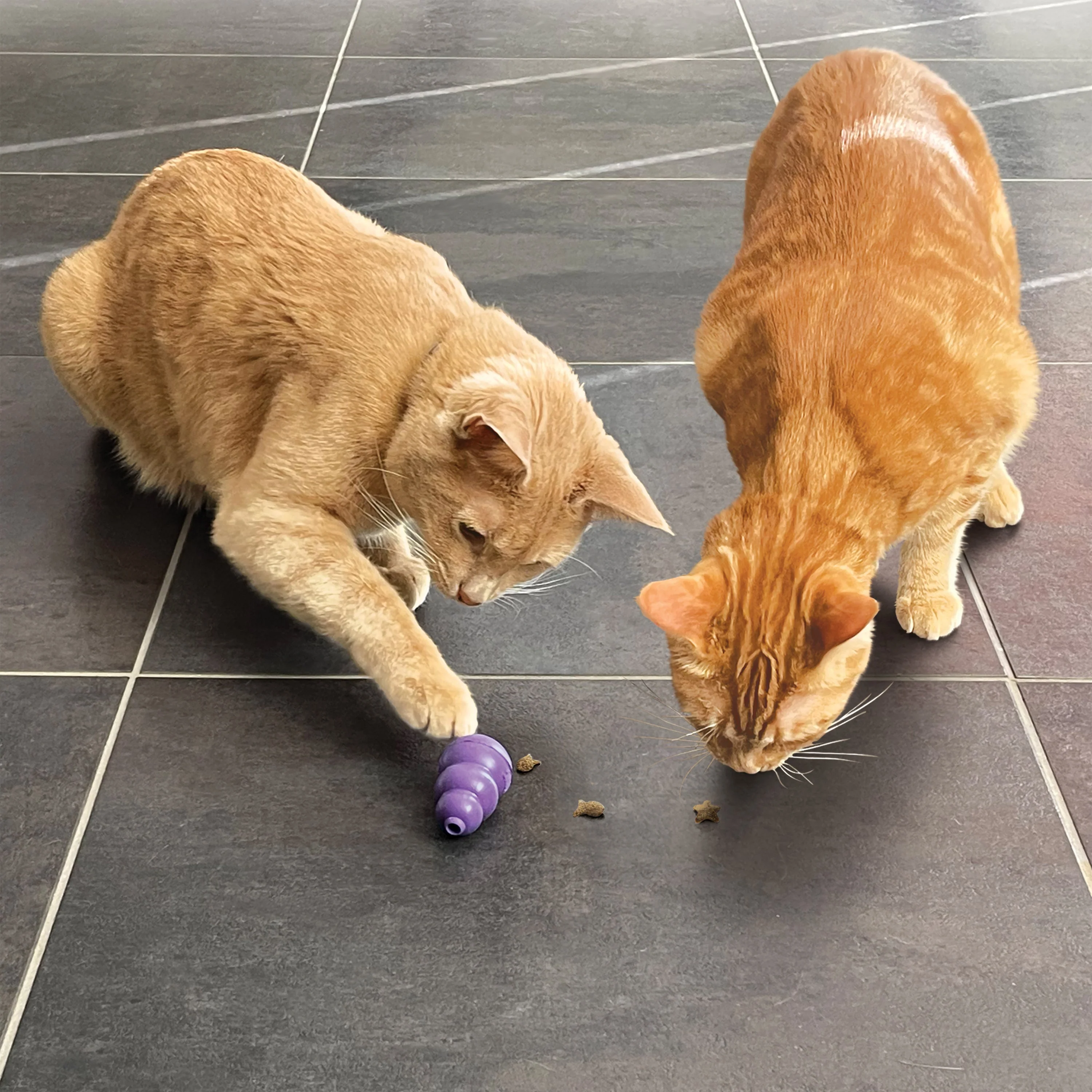 KONG Cat Nibbies Whitefish Cat Treats - Image 3