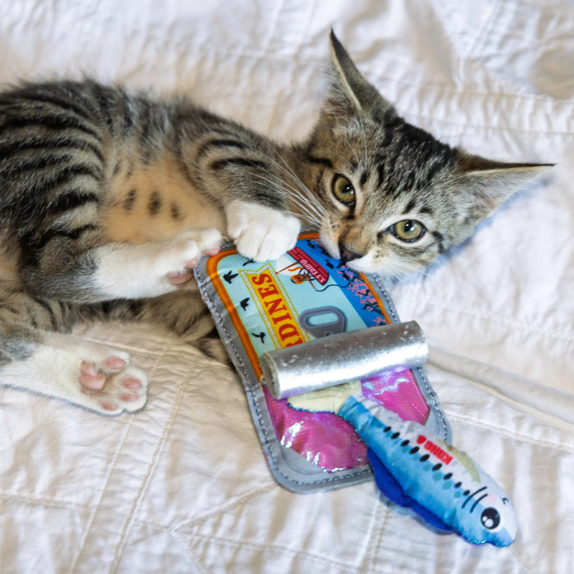 KONG Crackles Sardine Cat Toy - Image 2