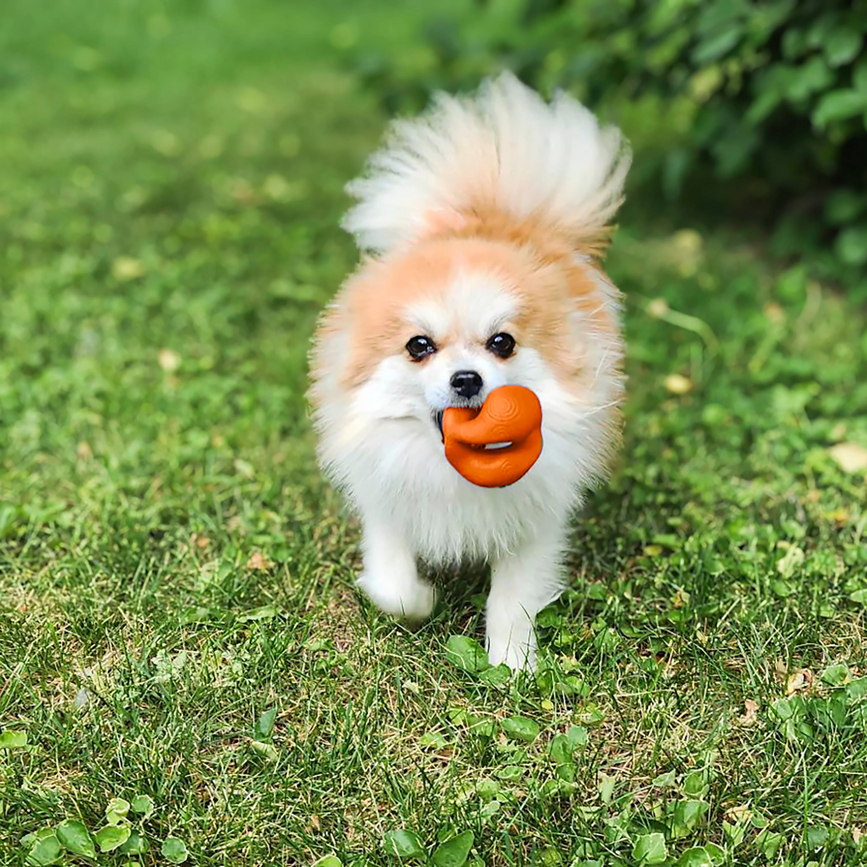 KONG Ogee Orb Dog Toy - Image 2
