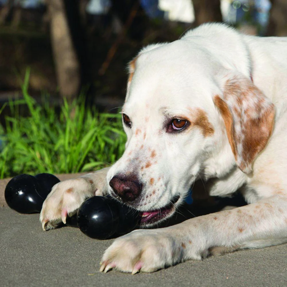 KONG Extreme Goodie Bone Dog Toy - Image 4