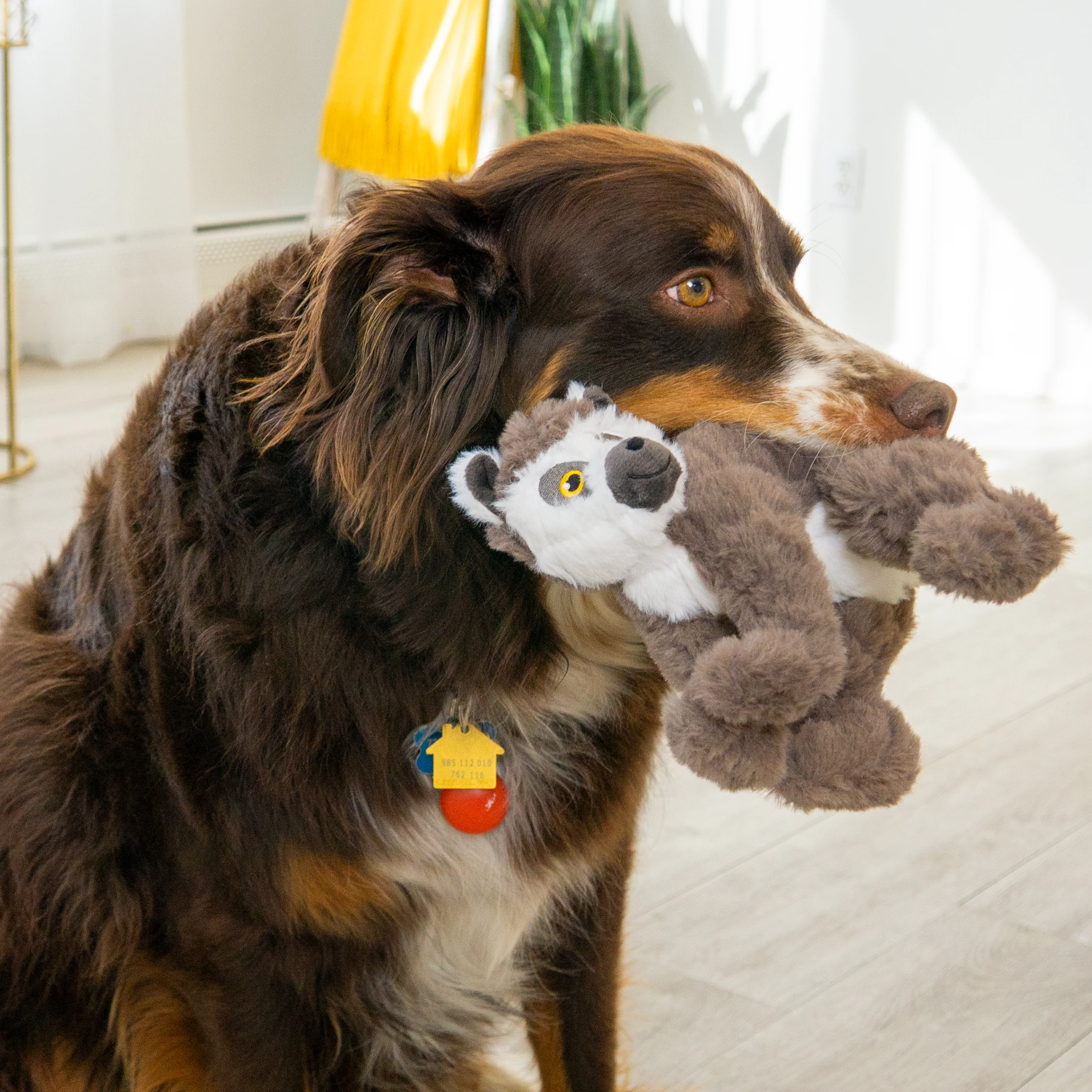 KONG Scampers Lemur Dog Toy - Image 2