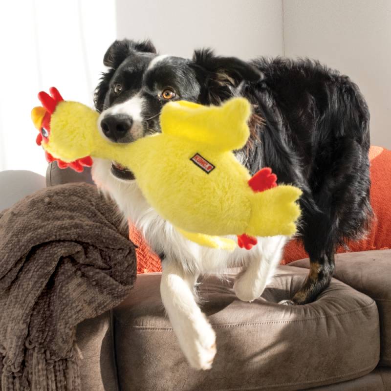 KONG Scruffs Chicken Dog Toy - Image 2