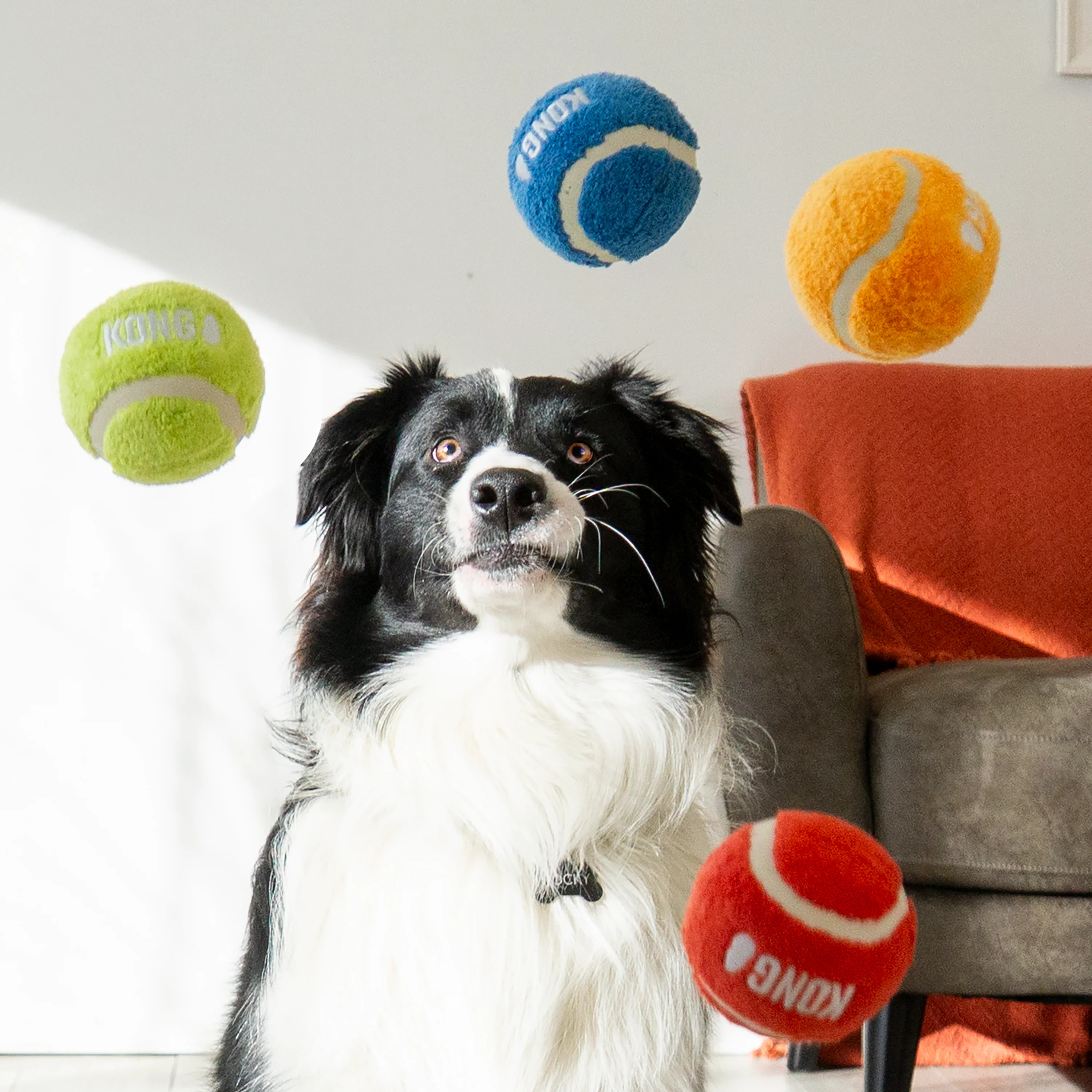 KONG Sport Softies Ball Assorted Dog Toy - Image 2