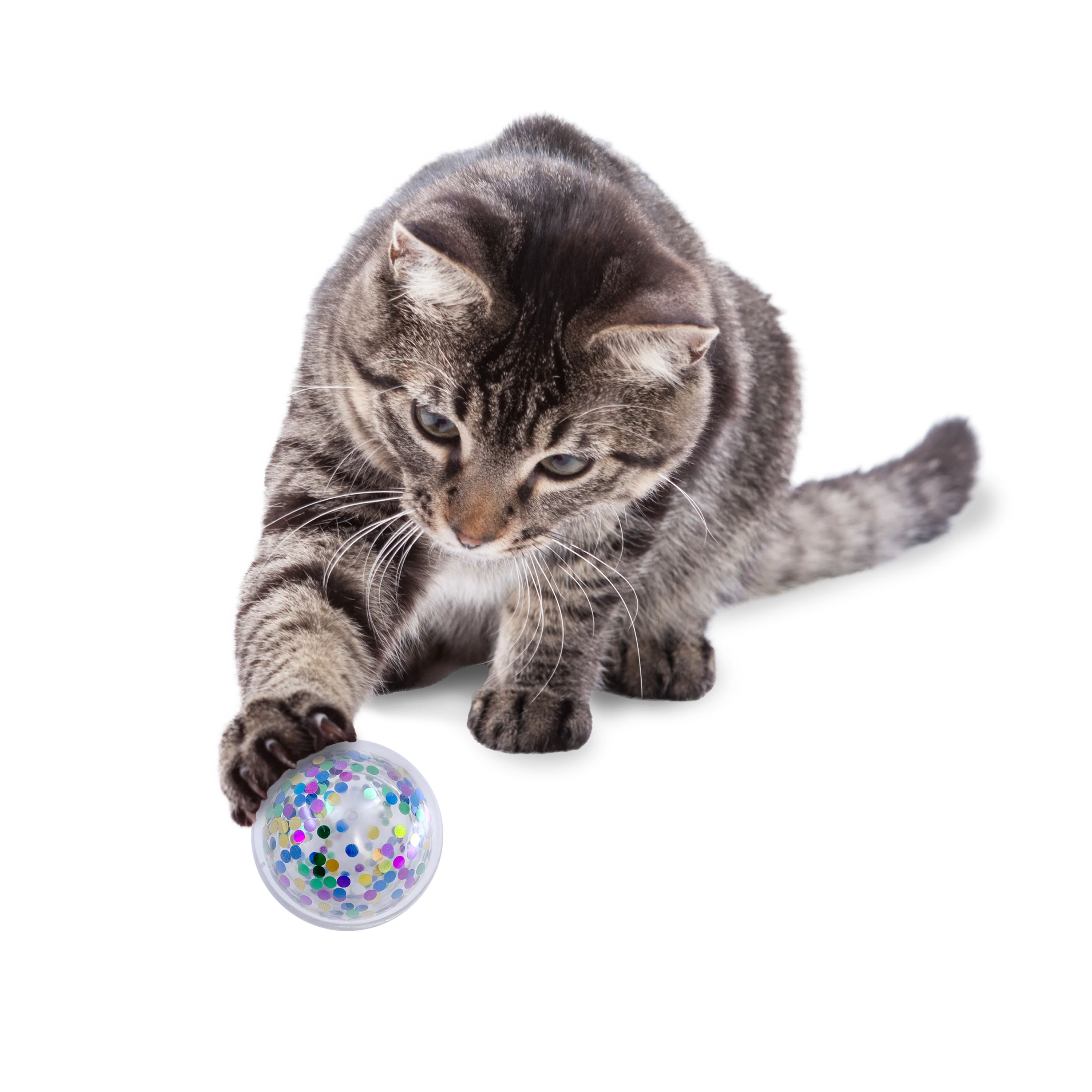 KONG Active Confetti Ball Cat Toy - Image 3
