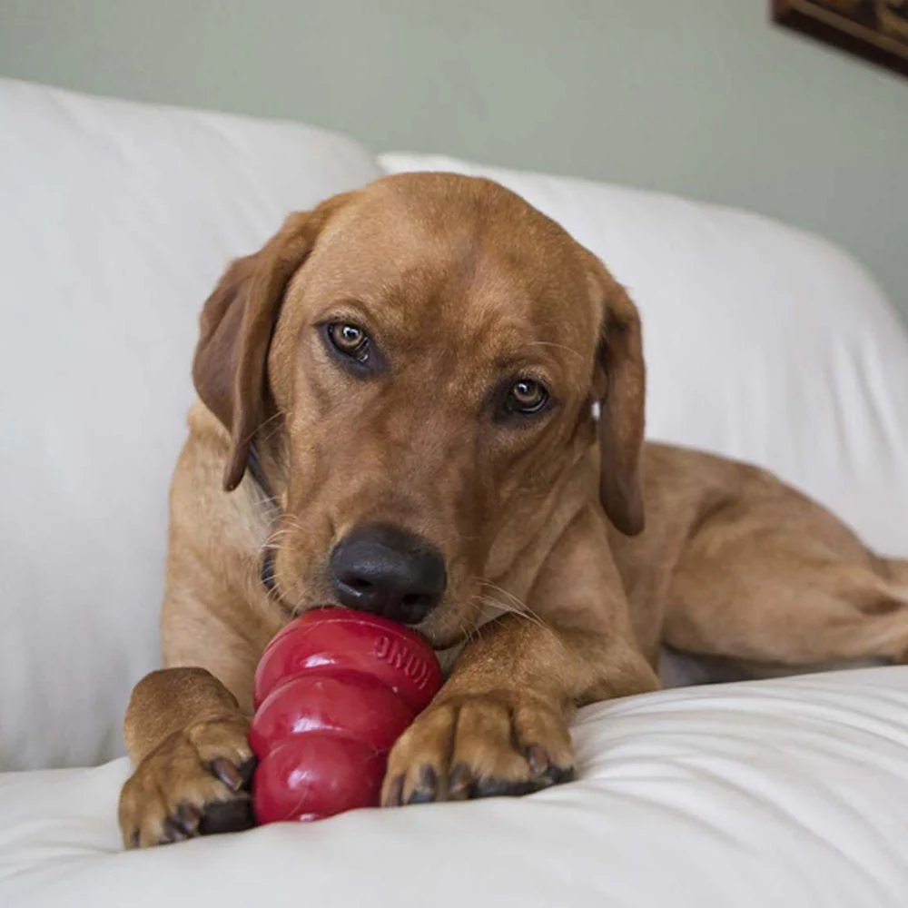 Kong Stuff'N Snacks Liver Recipe Dog Treats - Image 4