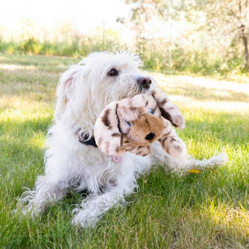KONG Toughz Pup Dog Toy - Image 2