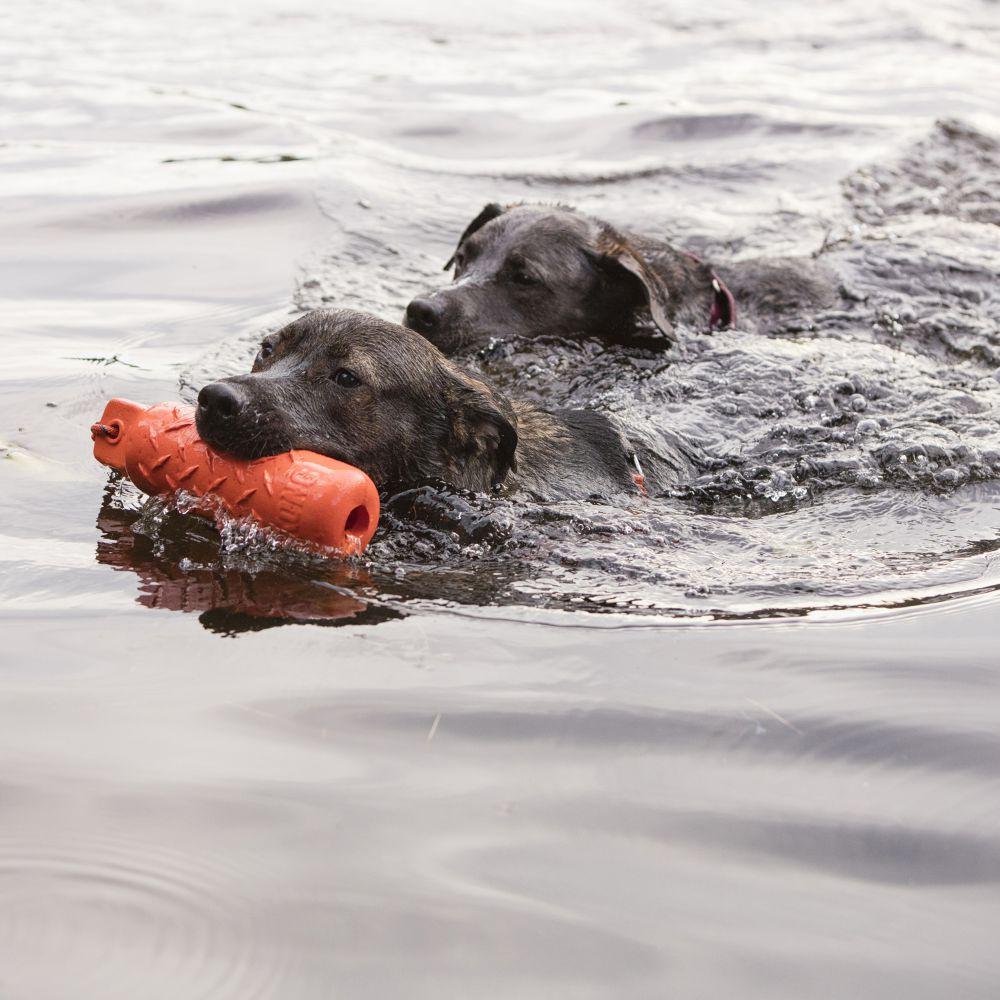 KONG Training Dummy Floating Dog Toy - Image 2