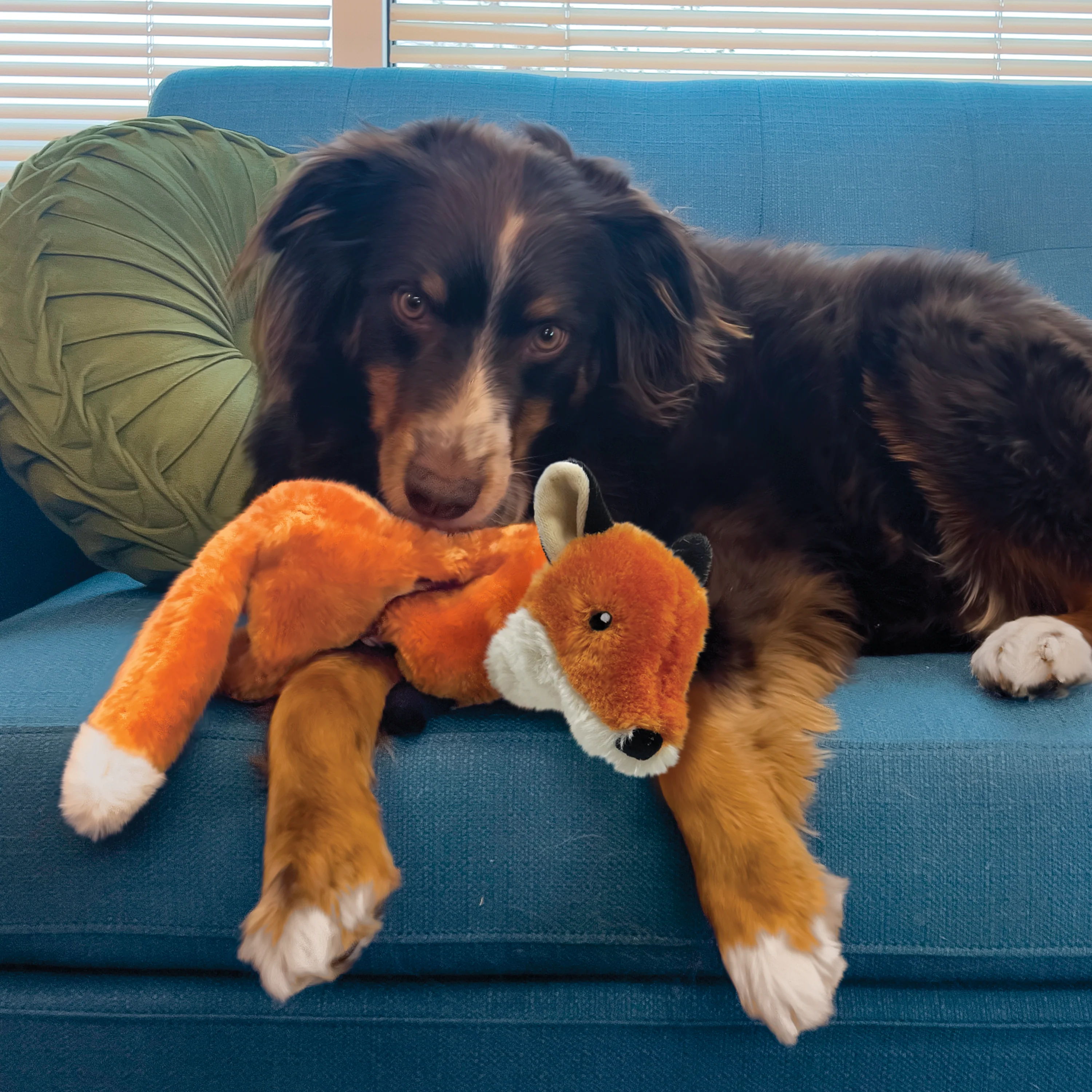 KONG Wild Low Stuff Creatures Fox Dog Toy - Image 3