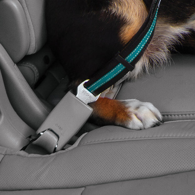 Kurgo Direct to Seatbelt Swivel Tether - Image 2